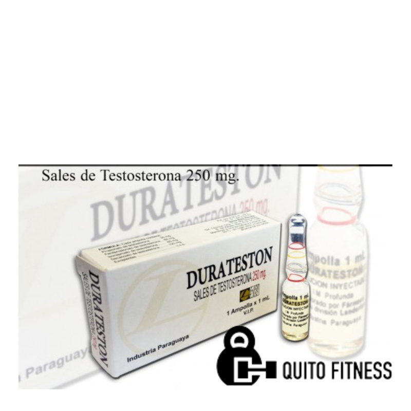 Sustanon Durateston 250MG 1 Ampolla X 1ML landerland